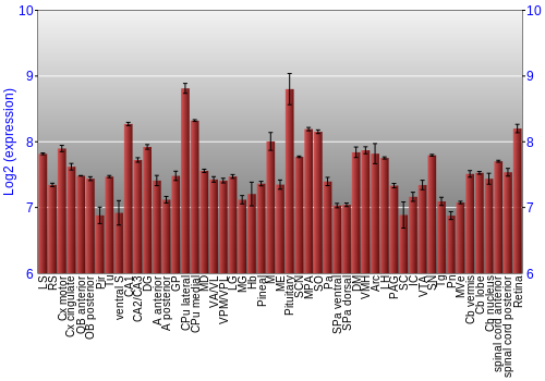 Expression graph