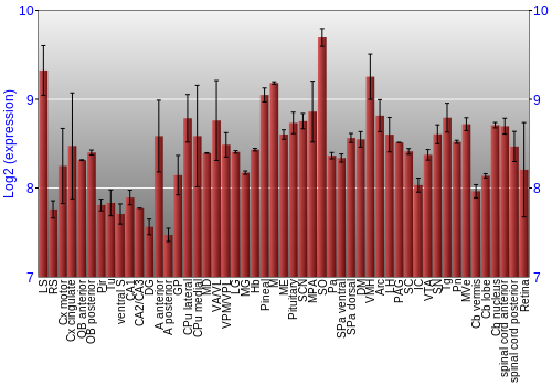 Expression graph