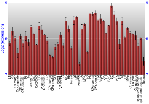 Expression graph