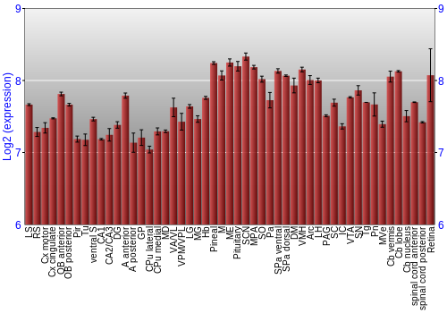 Expression graph