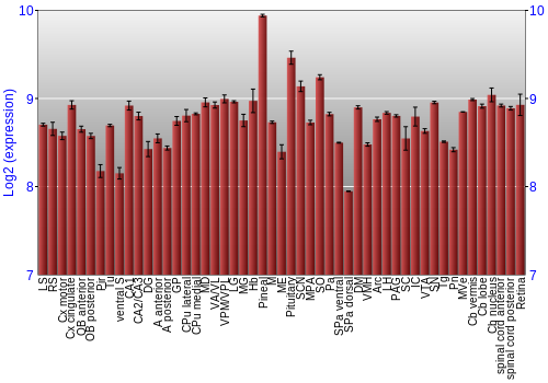 Expression graph