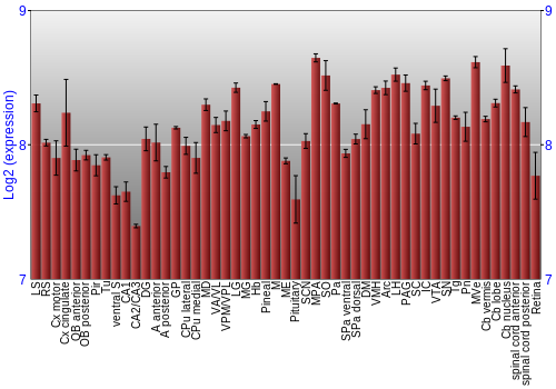 Expression graph