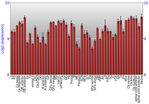 Expression graph