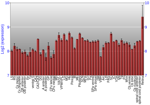 Expression graph