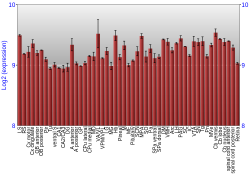 Expression graph