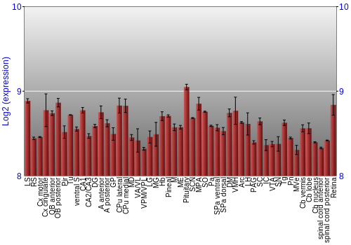 Expression graph