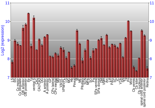 Expression graph