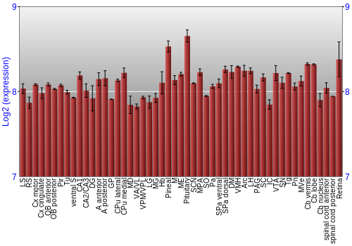 Expression graph