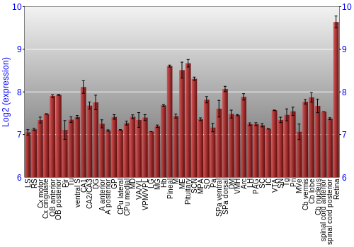 Expression graph