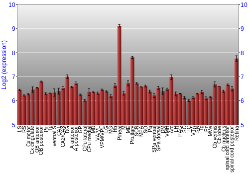 Expression graph