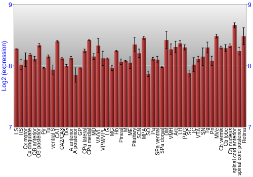 Expression graph