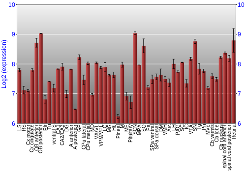 Expression graph