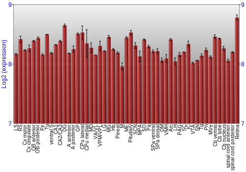Expression graph