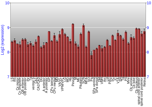Expression graph