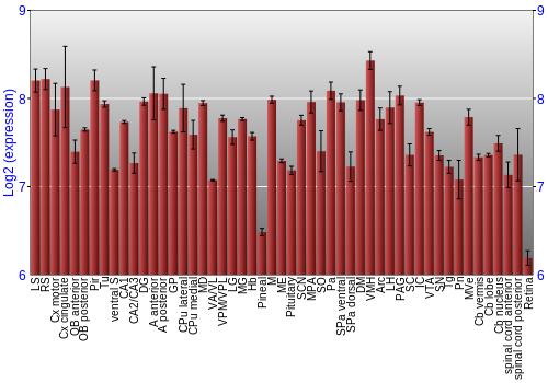 Expression graph
