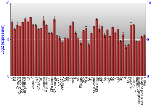 Expression graph