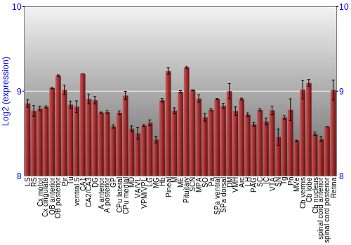 Expression graph