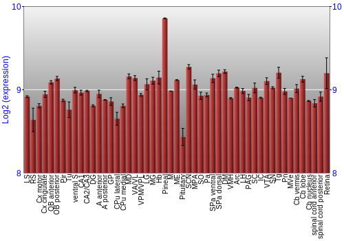 Expression graph