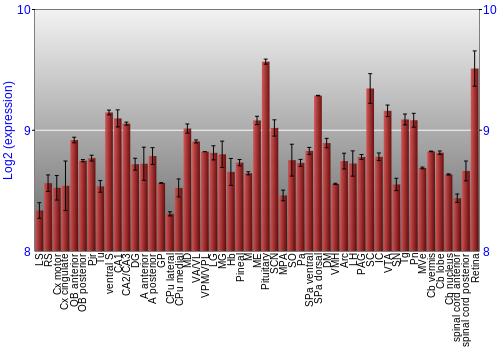 Expression graph