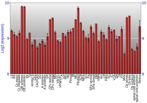 Expression graph