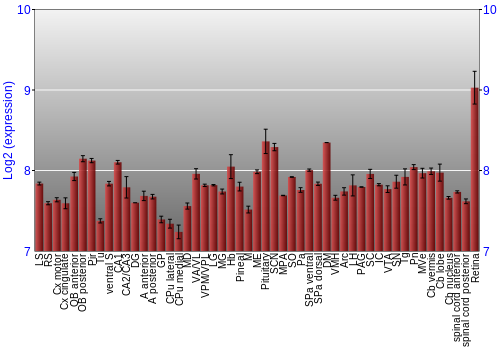 Expression graph