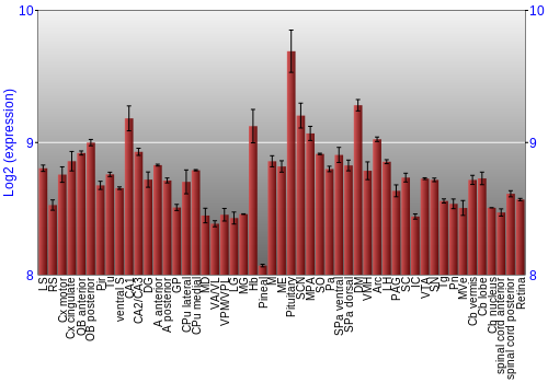 Expression graph