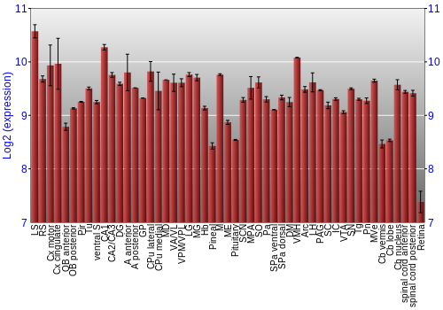 Expression graph
