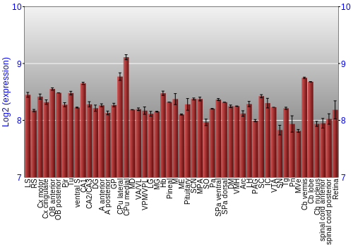Expression graph