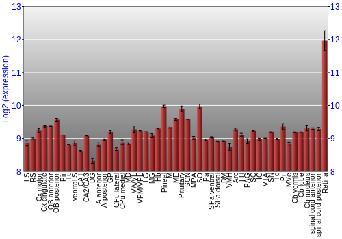Expression graph
