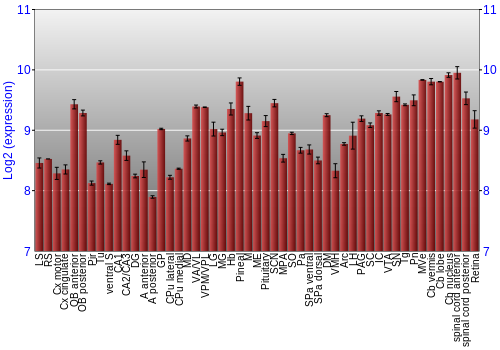 Expression graph