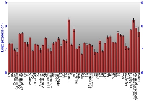 Expression graph