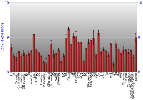 Expression graph