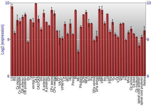 Expression graph