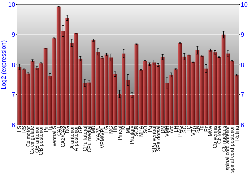 Expression graph