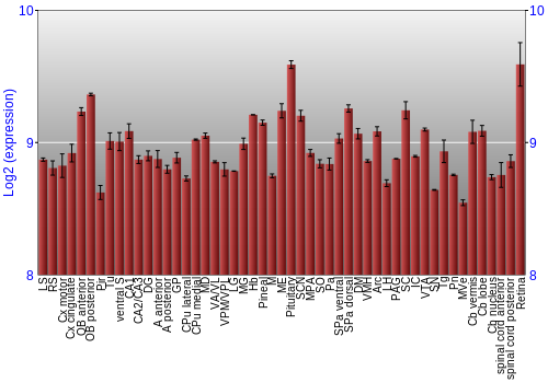 Expression graph