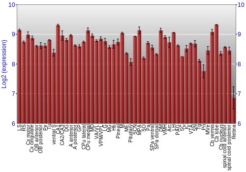 Expression graph