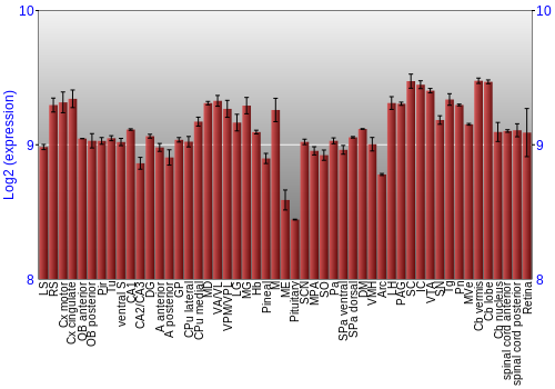 Expression graph