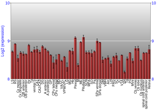Expression graph