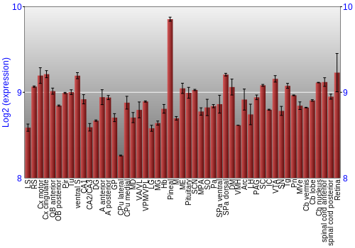 Expression graph