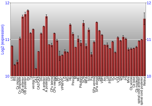 Expression graph