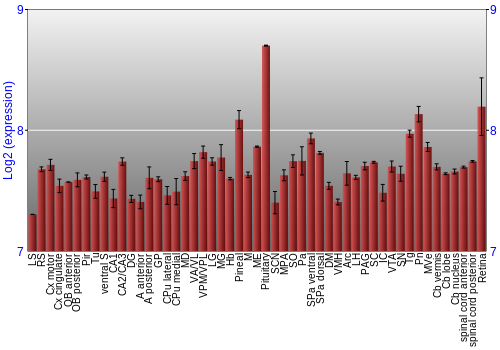 Expression graph