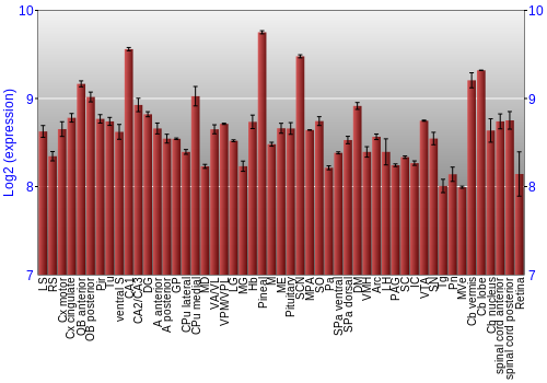 Expression graph