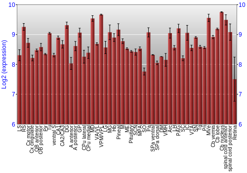 Expression graph