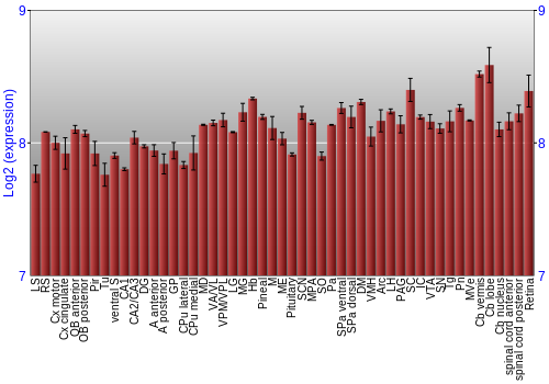 Expression graph