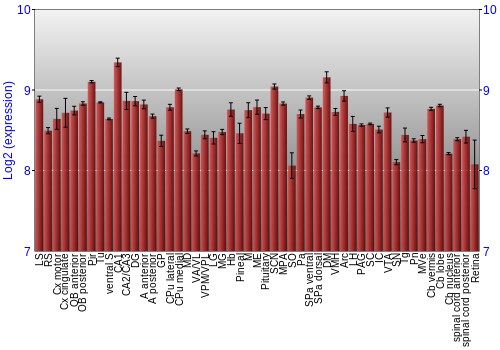 Expression graph