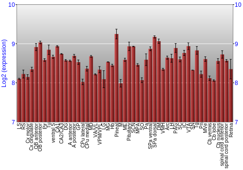 Expression graph