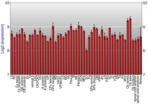 Expression graph