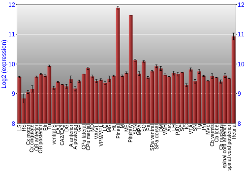 Expression graph