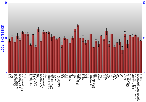 Expression graph