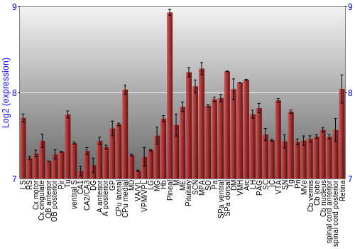 Expression graph